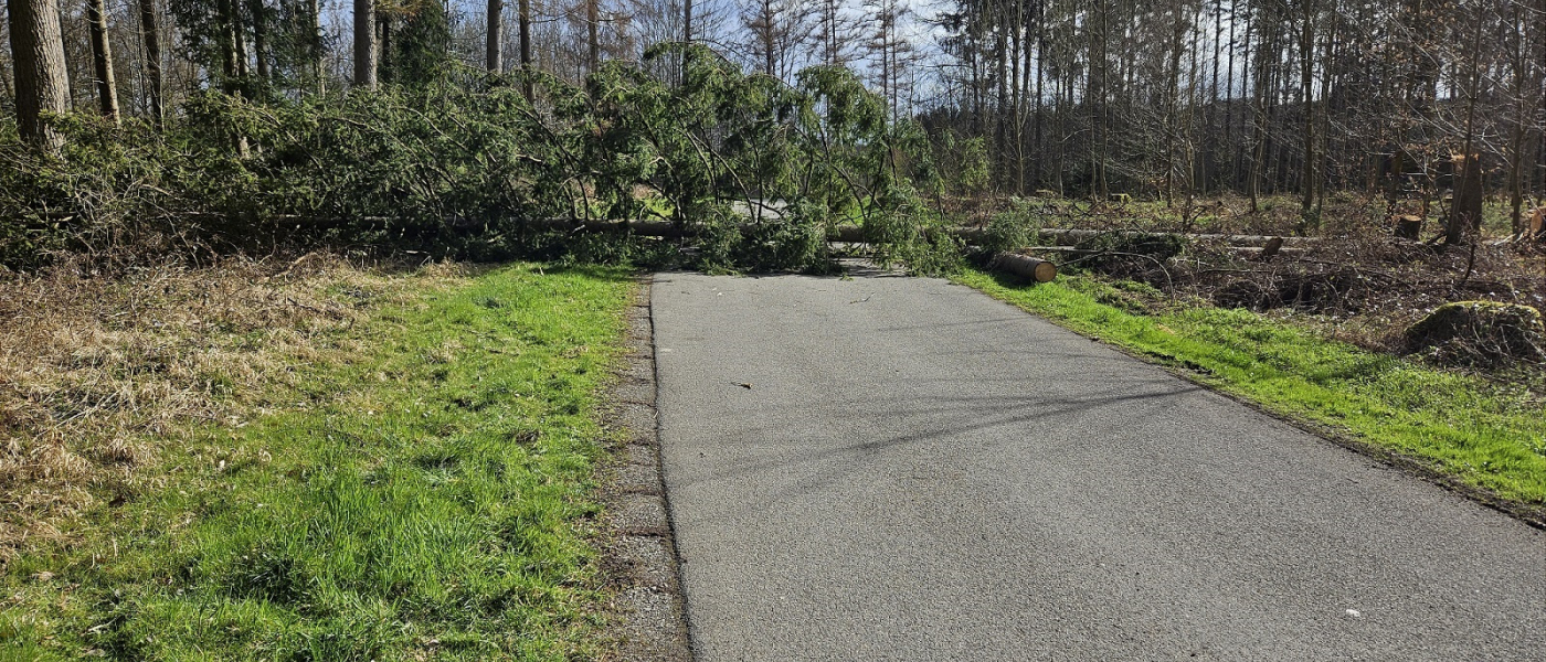 T1 - Unwetter