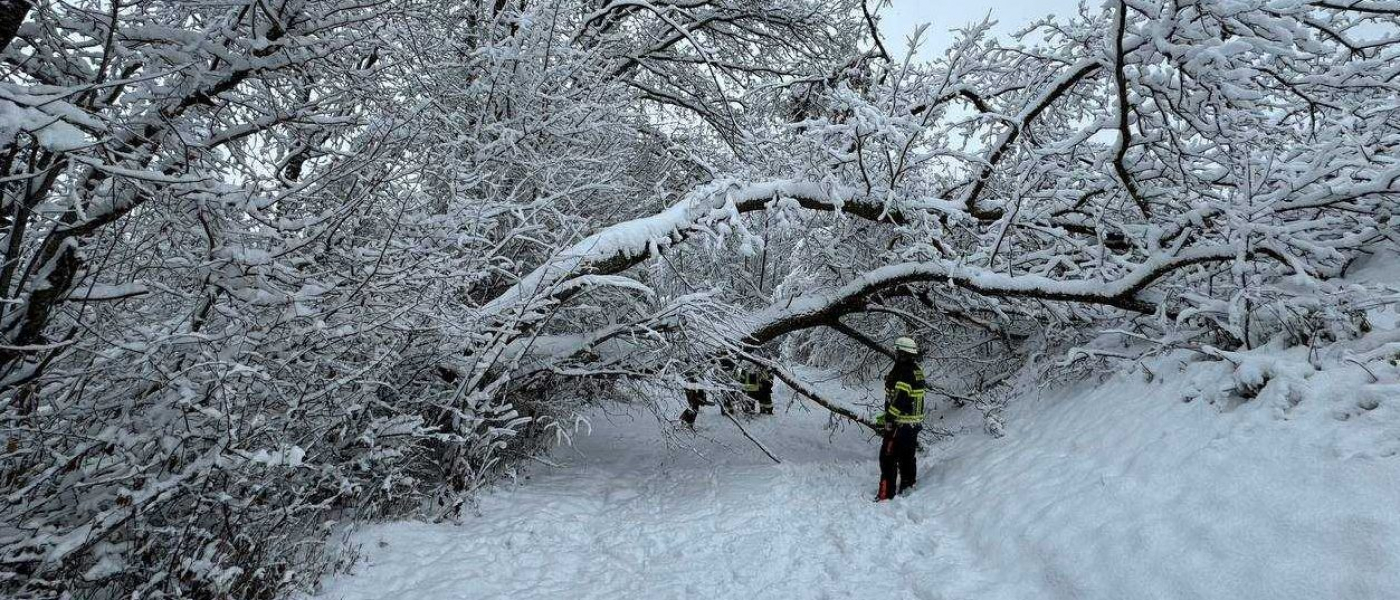 T2 - Unwetterlage durch Schneebruch