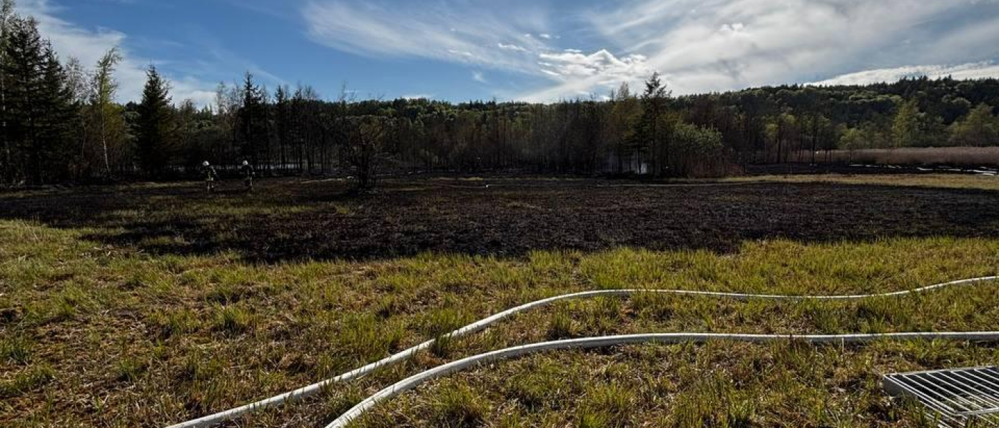 B4 Vegetationsbrand - Überlandhilfe