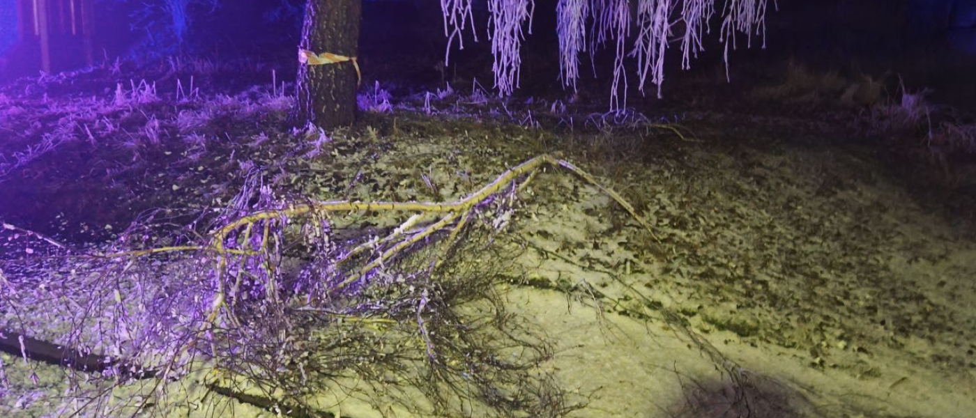 H EVD - Baum auf Straße