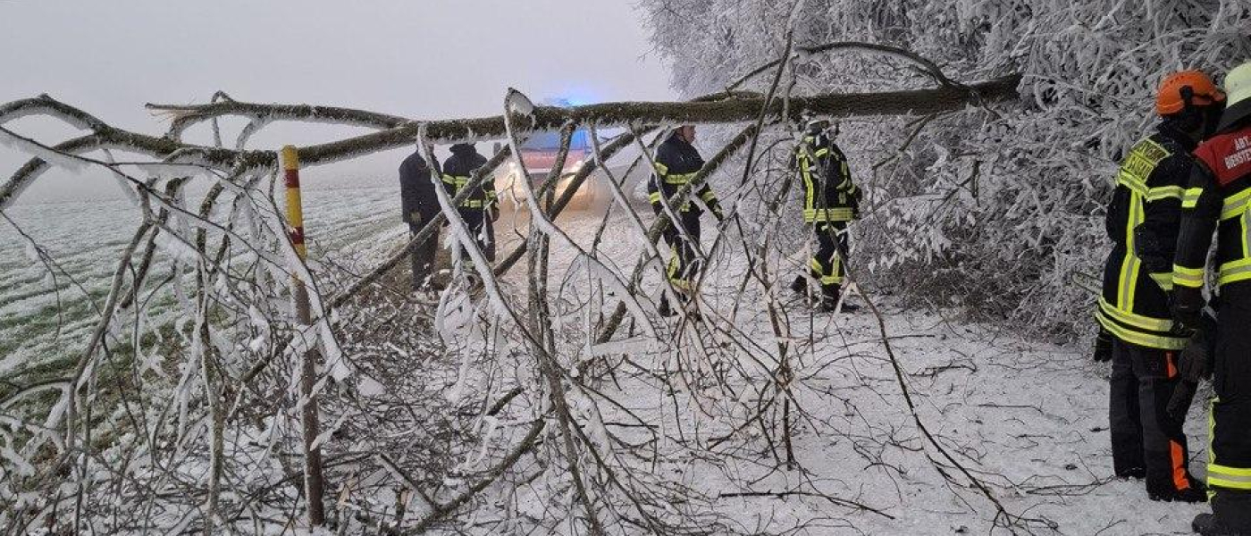 H1 - Baum über Fahrbahn