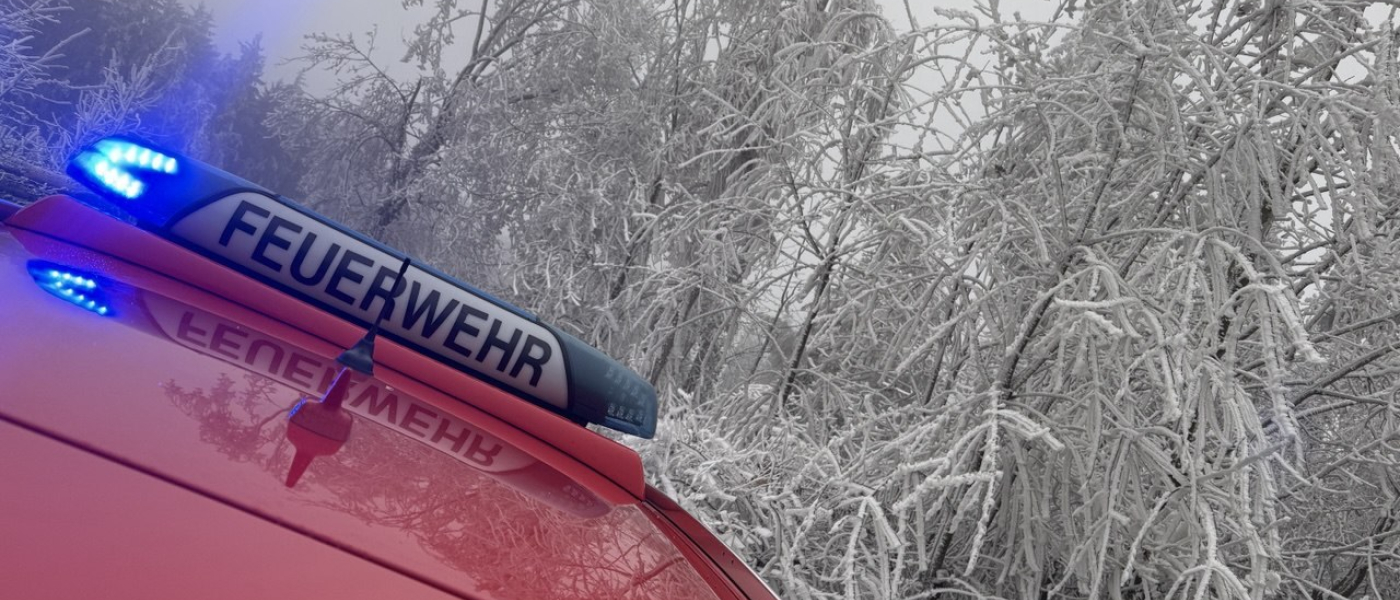 H1 - Baum über Fahrbahn