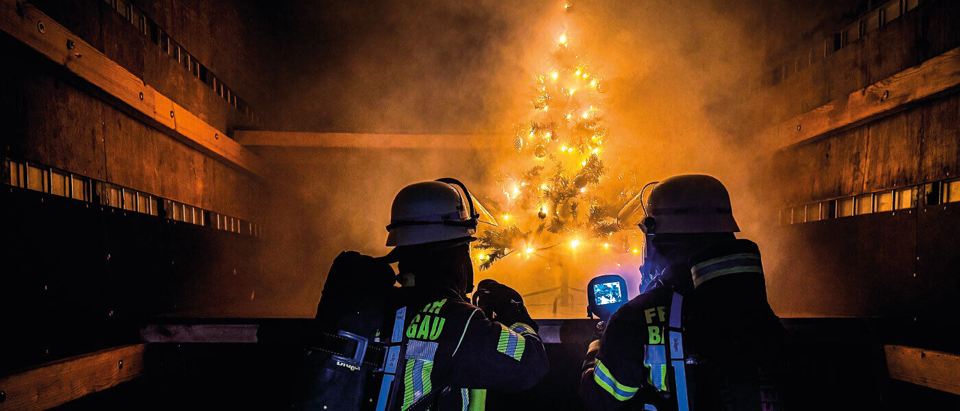 Weihnachtsgruß 2025